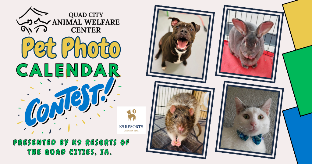 Quad City Animal Welfare Center 2024 Pet Photo Calendar Contest